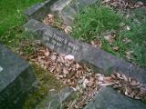 image of grave number 481503